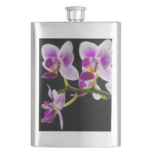 Cantil Orquídea branca e roxa