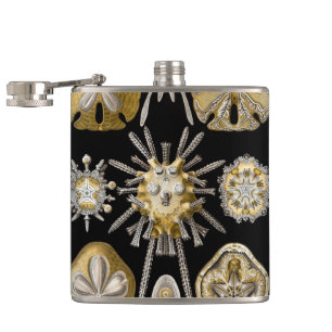 Cantil Ouriços-do-mar Vintage por Ernst Haeckel