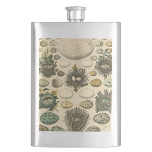 Cantil Ovos De Pintura De Ninho De Aves Vintage