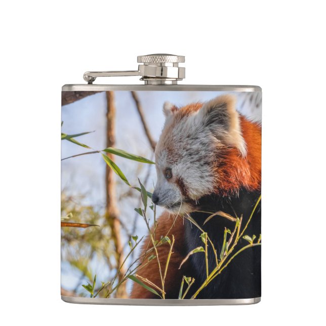 Cantil Panda vermelha (Frente)