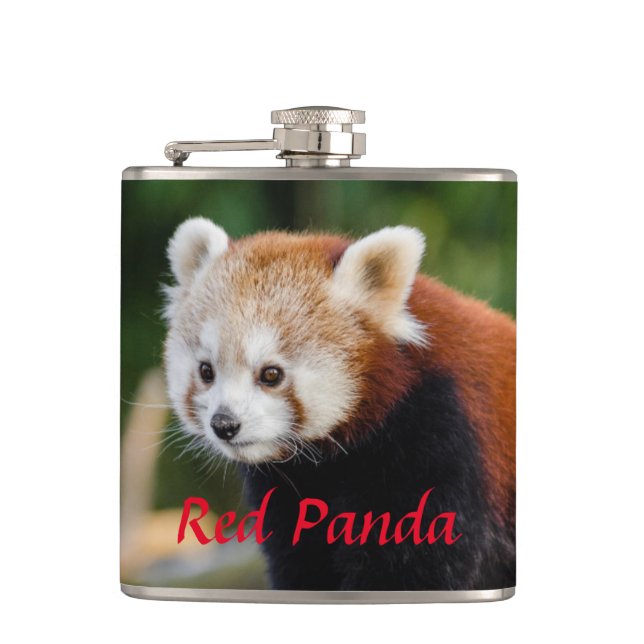Cantil Panda Vermelho Selvagem  (Frente)