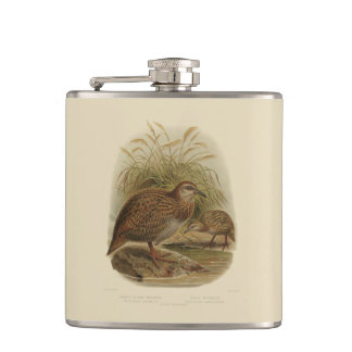 Cantil Pássaros da ciência NZ do vintage - Weka