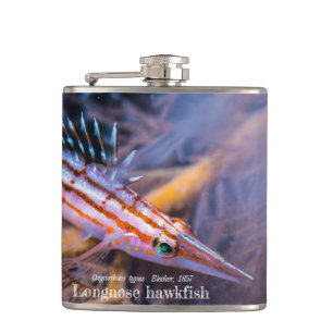 Cantil Peixe-palha