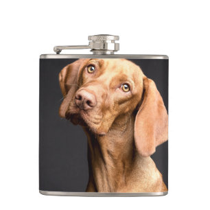 Cantil Pet Brown Beagle Dog