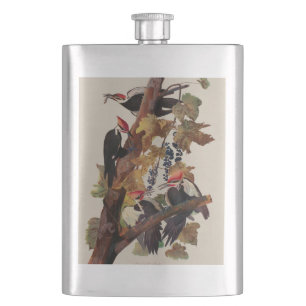 Cantil Pica-Pau-Grande de John James Audubon Impressão de