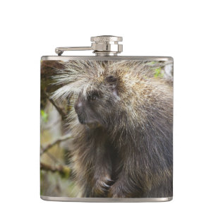 Cantil Porcupina determinada