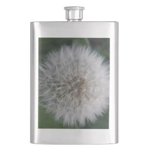 Cantil Propagação do Flor Dandelion