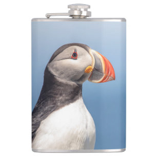 Cantil Puffin Atlântico em Machias, Maine