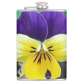 Cantil Púrpura e amarela