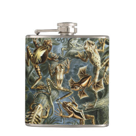 Cantil Rãs e Sapos Vintage Batrachia por Ernst Haeckel