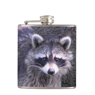 Cantil Rocky, o Raccoon