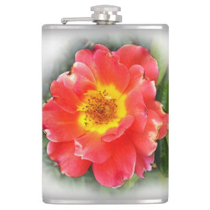 Cantil Rosa no outono