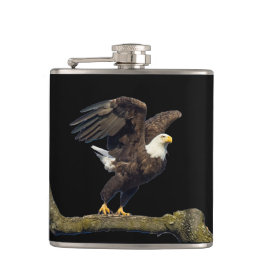 Cantil Salto da Águia Americana