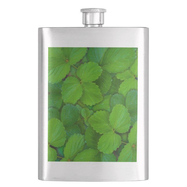 Cantil Santo Basil Tulsi Green Mint Folhas (Frente)