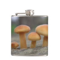 Sinalizador de macro do Tiny Toadstools