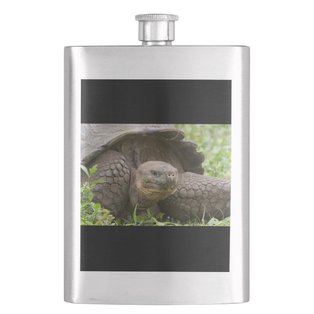 Cantil Tartaruga gigante (Frente)