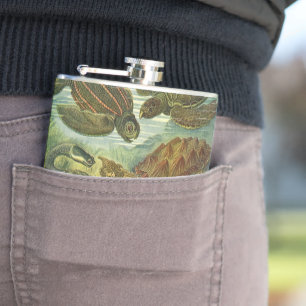 Cantil Tartarugas Marinhas e Jabutis Antigos por Ernst Ha