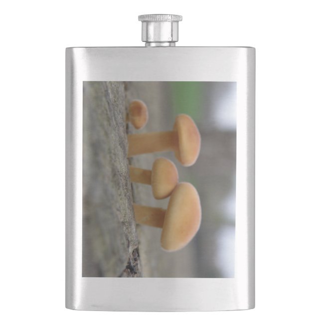 Cantil Toadstools Minúsculo Macro Flask (Frente)