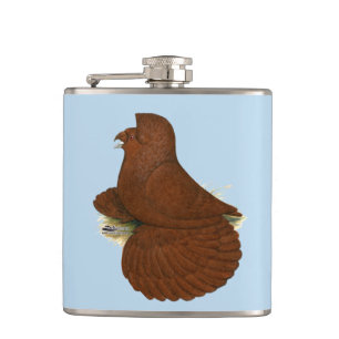 Cantil Trumpeter Pigeon Vermelho