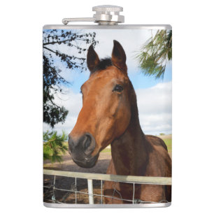 Cantil Tule O Cavalo, Frasco Da anca