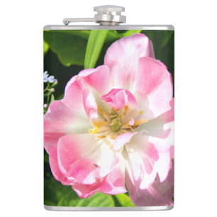 Cantil Tulipa rosa-branca