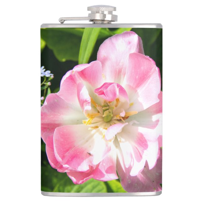 Cantil Tulipa rosa-branca (Frente)
