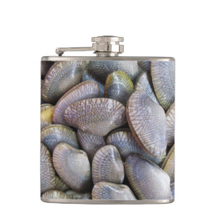 Cantil Vênus Clam [ห อ ย ล า ย]