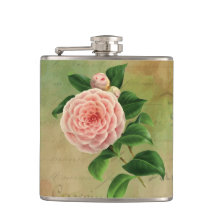 Vintage Camellia Botânica Francesa