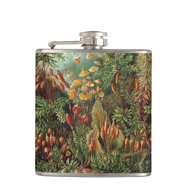 Cantil Vintage Muscinae, Moss Vegetais de Ernst Haeckel (Frente)