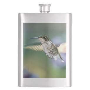 Cantil Voo de Hummingbird