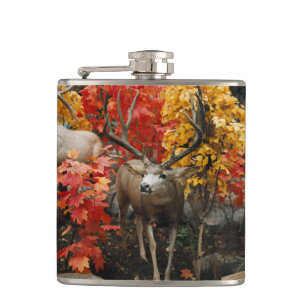 Cantil Whitetail No Outono