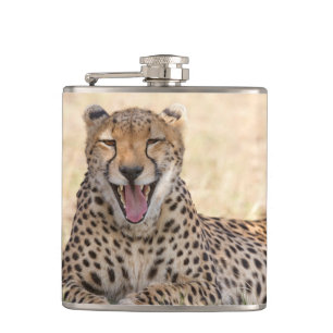 Cantil Yawning Cheetah