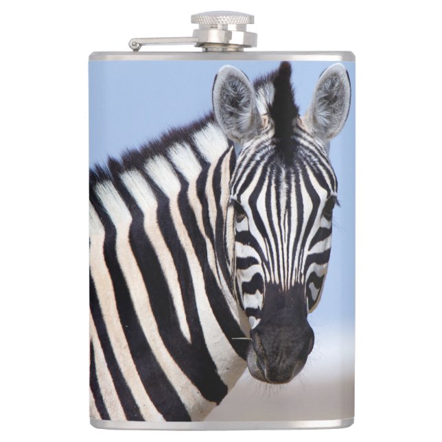 Cantil Zebra olhando para você (Frente)