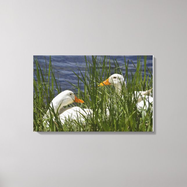 Canvas (Frente)