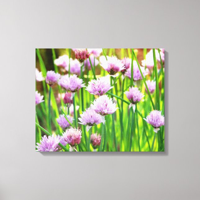 Canvas (Frente)