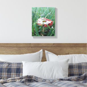 Canvas
