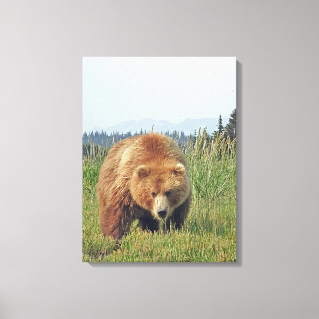 canvas 12x24 (Brilho) com urso pardo (Frente)