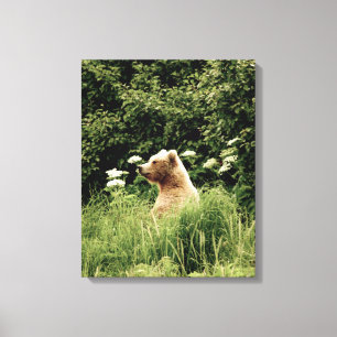 canvas 16x20 (Brilho) com urso pardo