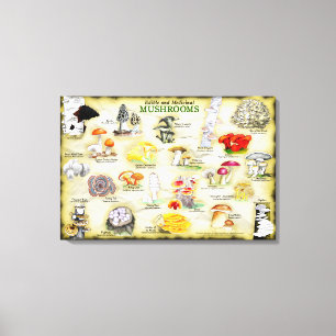 Canvas 30x20 Cogumelos
