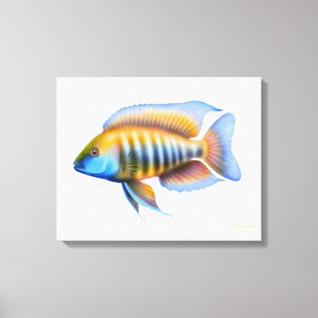 Canvas Africana de Peacock Cichlid Fish (Frente)
