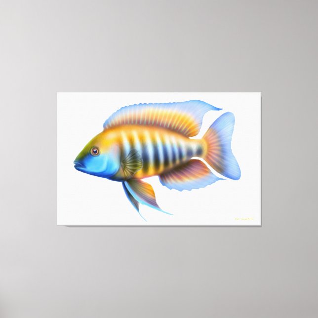 Canvas Africana de Peacock Cichlid Fish (Frente)