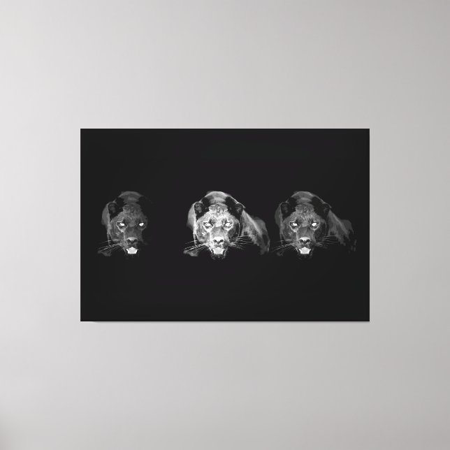 Canvas aguar preto e branco - 3 Canvas S (Frente)