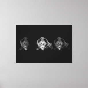 Canvas aguar preto e branco - 3 Canvas S