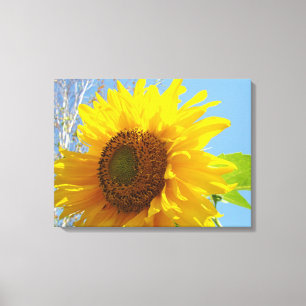 Canvas Amarelo de Girassol Fotografia Belas-artes