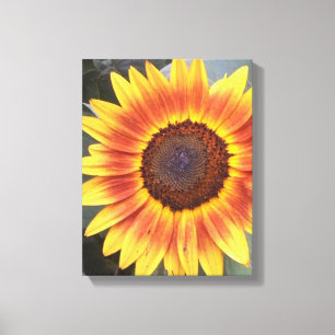 Canvas Amarelo N Laranja