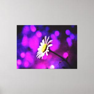 Canvas Amethyst cor-de-rosa da margarida de N
