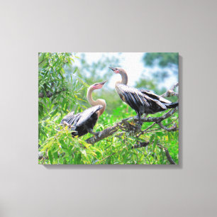Canvas Anhingas imatura