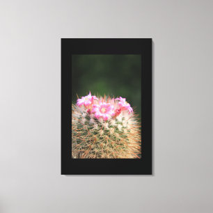 Canvas Art-Cactus