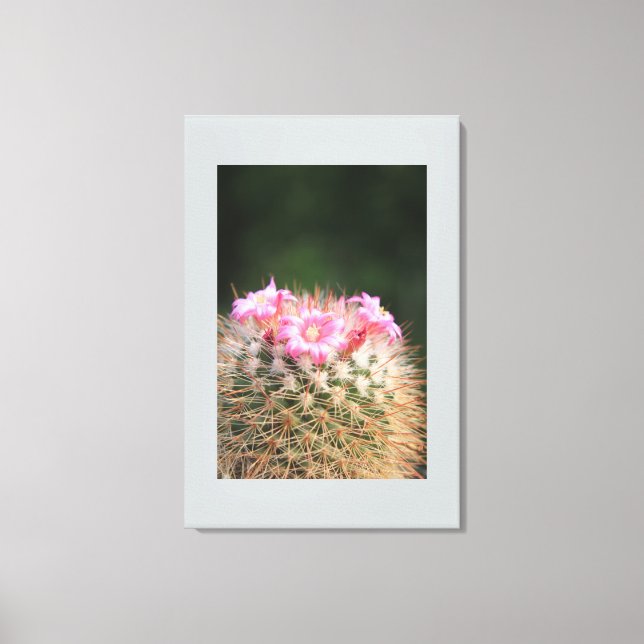Canvas Art-Cactus (Frente)