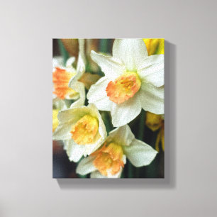 Canvas Art Daffodils